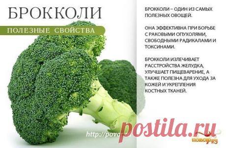 Галина Тушканова