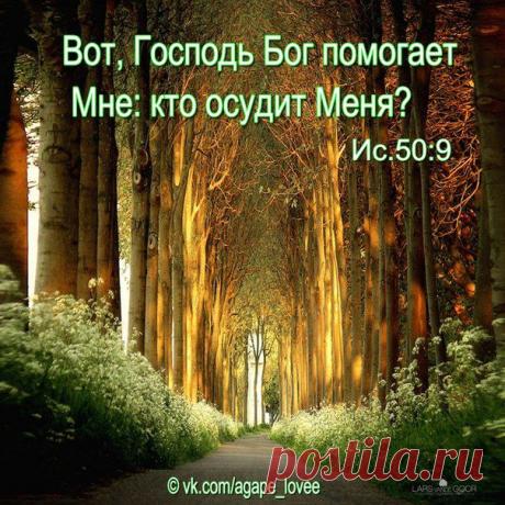 ♥...Агапэ...♥