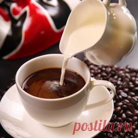 Как правильно пить кофе: с молоком или без? | Эффективное похудение. Все виды диет Как правильно пить кофе: с молоком или без?