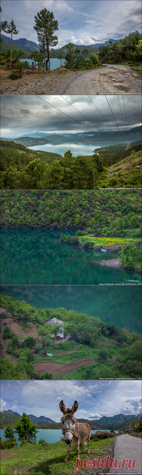 АЛБАНСКАЯ ГЛУХОМАНЬ. БЕДНАЯ, НО КРАСИВАЯ