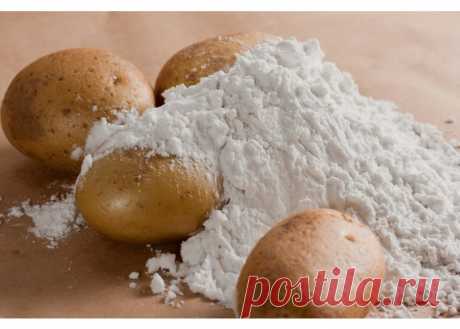 Растительные природные средства для защиты слизистой желудка