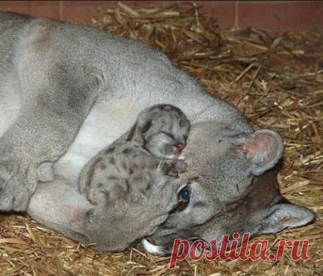 *************************