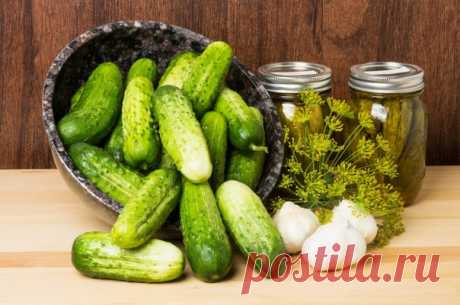 Для тех, кто не любит уксус:
Соленые огурцы на зиму.
Продукты:
Показать полностью…