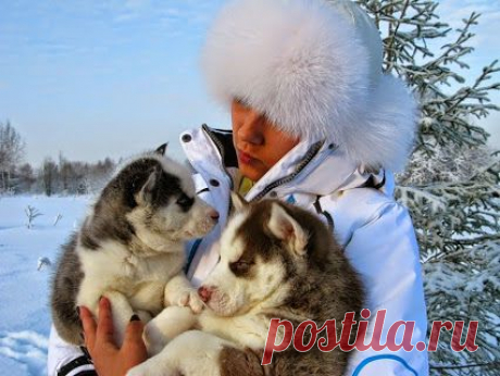 Отдыхайте с нами – Christmas tours in Lapland Santa Claus. Hurry to book, last place! Want to cross the Arctic circle? To receive a gift from the hands of Santa Claus? *To drive a fleet-footed deer across the expanses of the Arctic? *Feed the blue-eyed Husky? To meet with a shaman ? It's all waiting for You during a fantastic tour in the distant Lapland! The trip WILL be simply amazing! OUR CONTACTS AT SITE:www.polclub.ru ACCEPT group bookings!