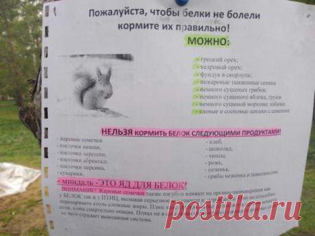 Полезное объявление