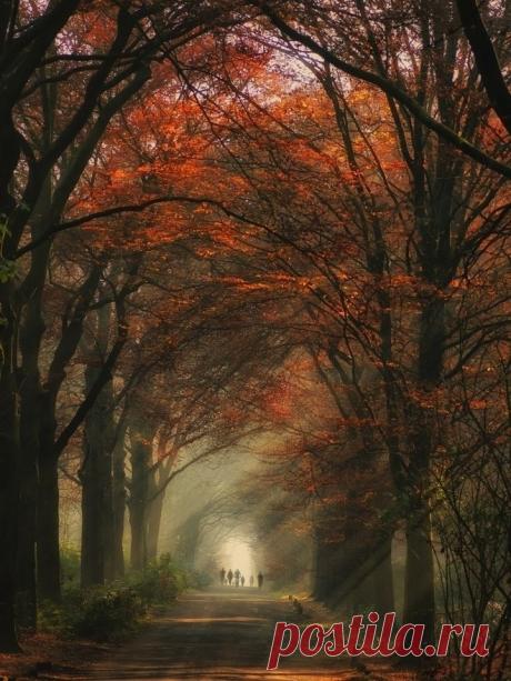 Где судьба бы вам жить не велела -
В блеске бала иль в сельской тиши,
Расточайте без счёта и смело
Все сокровища вашей души!
Анастасия Цветаева