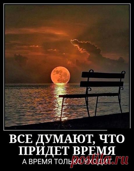 #картинки Демотиваторы. Демотиваторы #мотиваторы ТасаВилишо Коцедеми