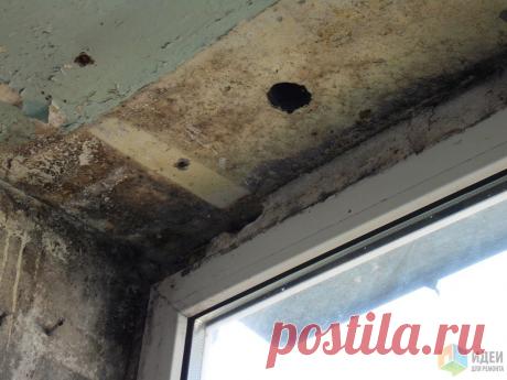 Лоджия: тихий ужас со счастливым концом