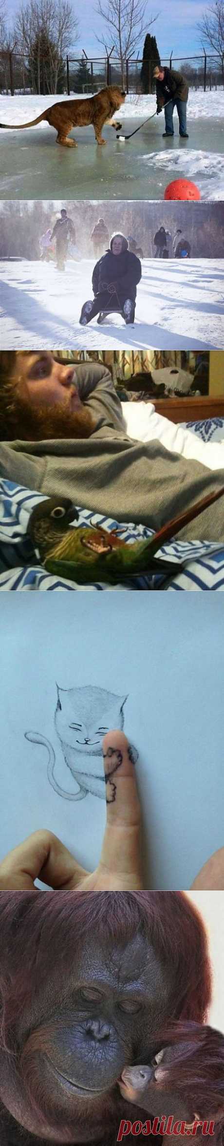 (+1) - Эмоции и настроение в фотографиях | Улетные картинки