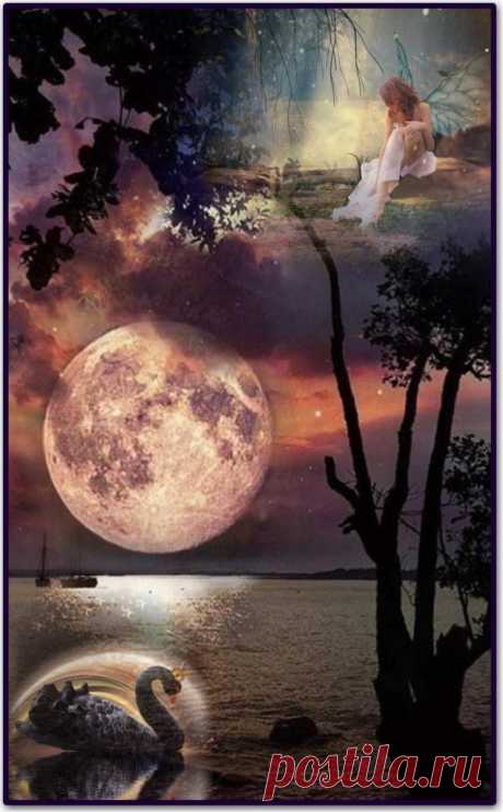 Черный лебедь ~ Плэйкасты ~ Beesona.Ru