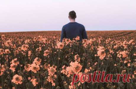 10 вещей, которые вы не должны никому объяснять | qil.ru