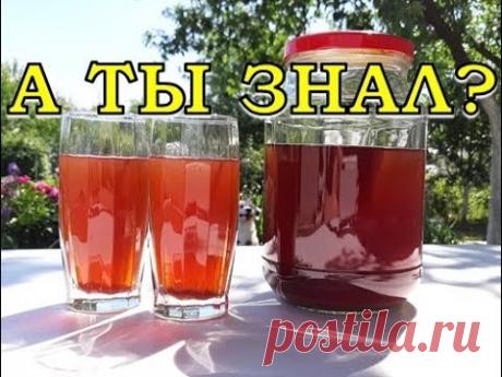 Домашнее ВИНОГРАДНОЕ ВИНО. Пошаговый рецепт