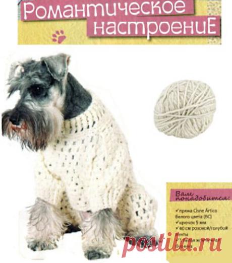 Вяжем для домашних любимцев