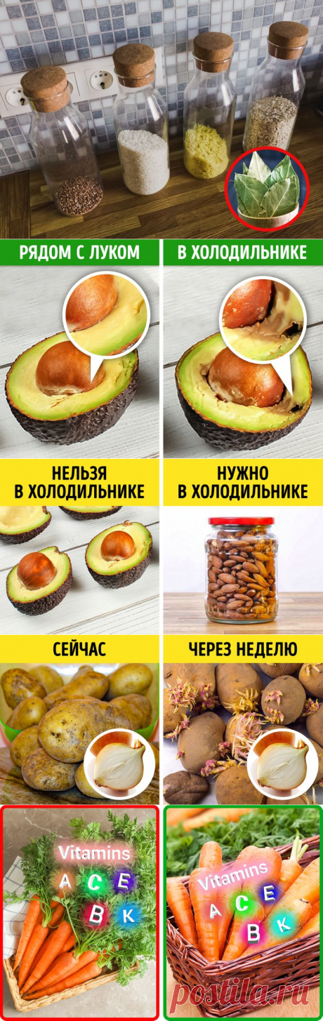 15 простых способов сохранить продукты свежими и перестать бесконечно их выбрасывать | Болтай