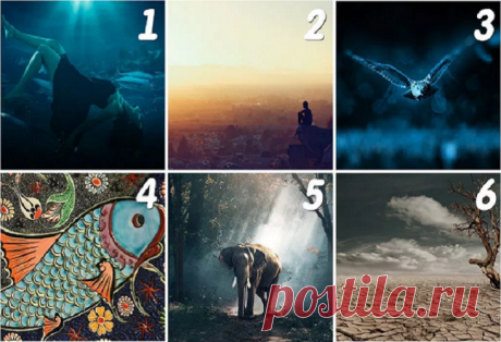 Выберите изображение, чтобы узнать, какую миссию приготовила для вас судьба | Скиталец | Яндекс Дзен