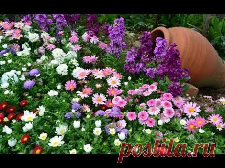 Цветочные Клумбы у Дома - YouTube