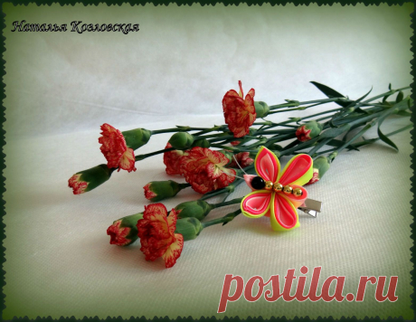 бабочка на зажиме