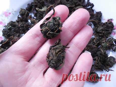 Два лёгких способа сделать правильный чай из кипрея (кипрей – Иван-чай) | Поехали на дачу? | Яндекс Дзен