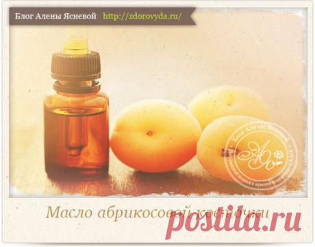Применение абрикосового масла для кожи и волос - рецепты и советы