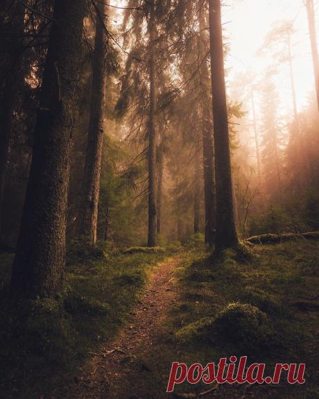 МАГИЧЕСКИЕ СЕВЕРНЫЕ ПЕЙЗАЖИ: СЕВЕРНОЕ СИЯНИЕ от Юусо Хямяляйнена (Juuso Hämäläinen) | Фотоискусство