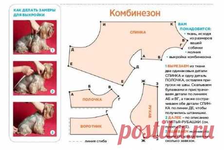 выкройка шапки с ушками кошки взрослый: 13 тыс изображений найдено в Яндекс.Картинках
