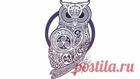 CELTIC OWL T Shirt By RAIDHO Design By Humans Shop CELTIC OWL by RAIDHO available as a T Shirt, Art Print, Phone Case, Tank Top, Crew Neck, Pullover, Zip, , Sticker, Mug, V Neck T Shirt and Scoop Neck T Shirt.