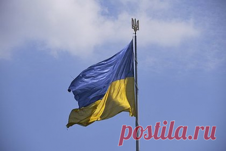 Партию Зеленского уличили в нарушении закона. В Национальном агентстве по вопросам противодействия коррупции (НАПК) Украины начали проверку финансирования партии «Слуга народа». Ведомство уличило партию президента Украины Владимира Зеленского в уголовных правонарушениях. Материалы НАПК были направлены в Национальную полицию Украины.