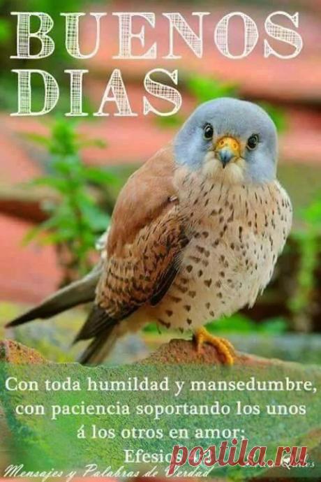 Foto - Google+