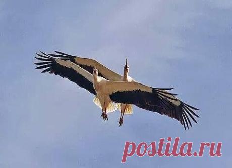 Фразы,Высказывания,Стихи,Цитаты,Видео...
Елена Станова