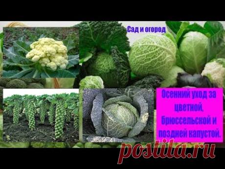 Почта Mail.Ru