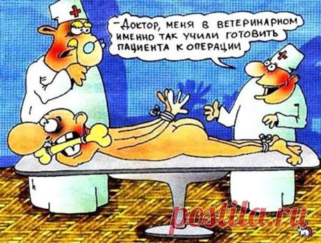 фотографии медицинской тематики: 31 тыс изображений найдено в Яндекс.Картинках