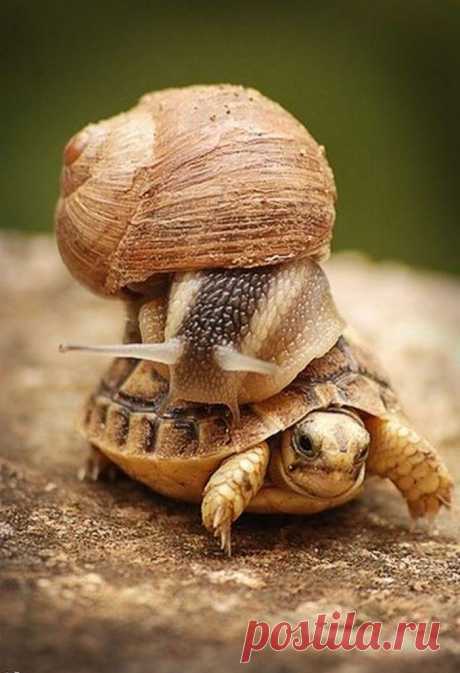 Найдено на сайте frmtr.com.