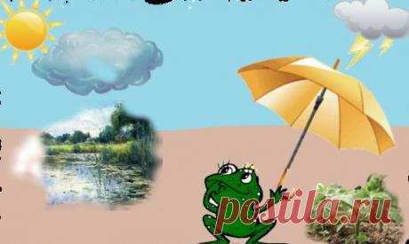 укрывной материал для парников | Обустройство дома