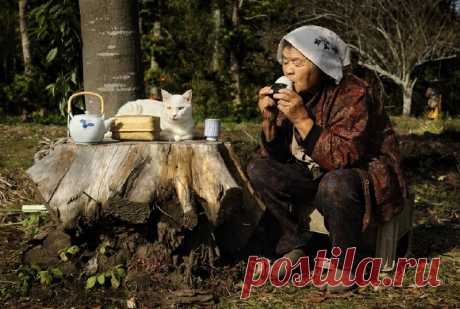 Чудесная и поучительная жизненная история, как не быть в одиночестве. | На чаек ...