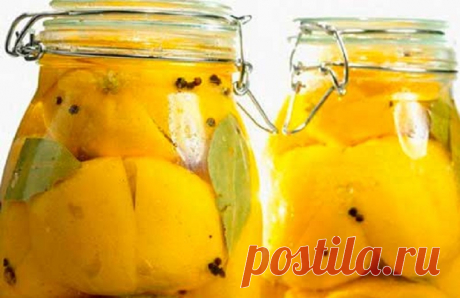 Хозяйка разрезала лимон и засыпала его солью… Увидев результат, я сделала то же самое! — Копилочка полезных советов