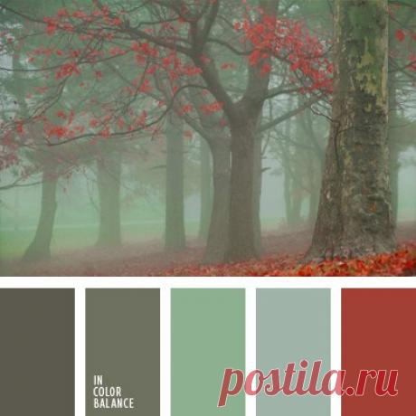 Цветовые сочетания
Контрастные тона