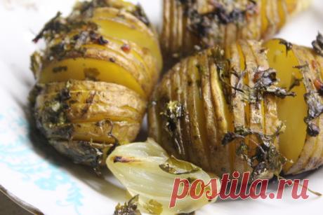 Картофель-гармошка с чесноком и зеленью - хрустящий и вкусный гарнир - рецепт с фото пошагово Картофель-гармошка с чесноком и зеленью - хрустящий и вкусный гарнир - пошаговый кулинарный рецепт приготовления с фото, шаг за шагом.