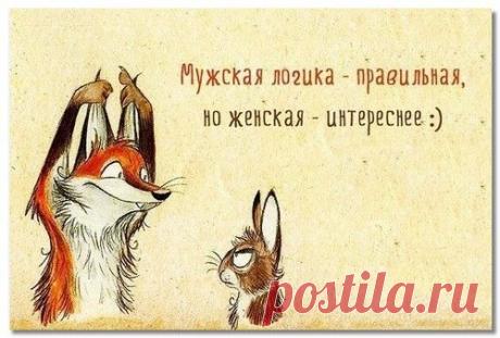 Мужская и женская логика