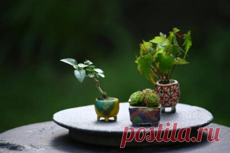 СДЕЛАЙТЕ СЕБЕ ЭТУ КРАСОТУ! ЧИТАЙТЕ ДЕТАЛЬНУЮ ИНСТРУКЦИЮ