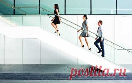 На пути к мечте часто не бывает лифта, иногда к самой заветной цели важно подняться по лестнице.