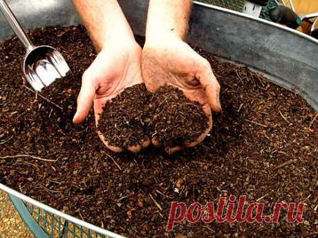 Шелуха от семечек - Садоводка