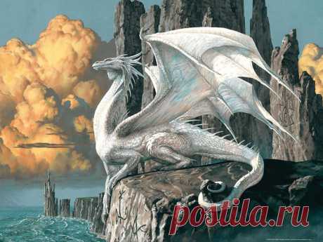 Убивать ли дракона?.