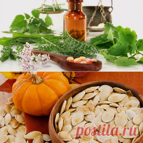 Как лечить глистов у взрослых и детей народными средствами