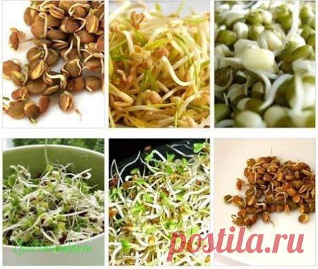 Многочисленные исследования в области молекулярной биологии доказали, что растительные стволовые клетки являются активными биостимуляторами стволовых клеток человека.