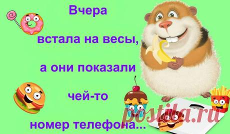"ДИЕТИЧЕСКИЙ" ЮМОР – сайт диетолога Людмилы Денисенко