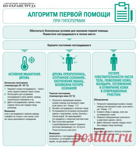 Обучение первой помощи под ключ: пошаговая инструкция, полный видеокурс и готовые алгоритмы – Справочник специалиста по охране труда № 4, апрель 2018