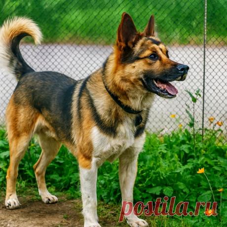 Не бывает Дыма без Боя - Готовим так!