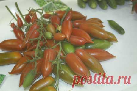 10 цветных овощей, которые всех удивят - Садоводка