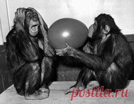 Четыре принципа, на которых строятся отношения.