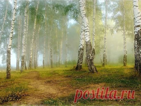 (4) Мой Мир@Mail.Ru